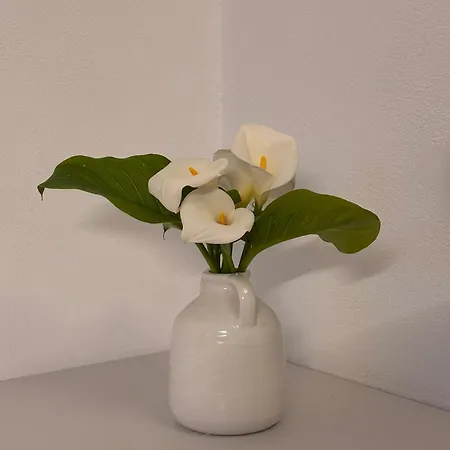 Casa Luce * Agalas